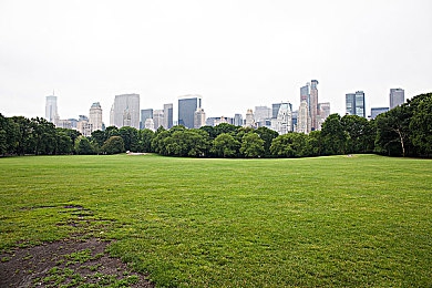 东京热成人在线:夜速狂飙东京,硬核赛车模拟今日正式上线,极致改装与警匪追逐引爆都市街头-2