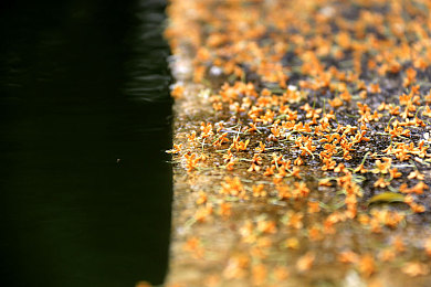 男生和女生一起叉叉叉APP：双人竞速新体验，默契配合共闯极速赛道-2