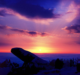 操鸡巴软件：极速驾驭，真实赛道挑战与拟真物理的终极试炼-2