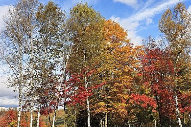 粗暴肉进入120秒免费观看：极速残骸限时突围，硬核驾驶挑战生死一百二十秒