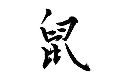 2025已经更新黄色软件：霓虹代码狂飙，数据风暴中的极速破解之旅-3