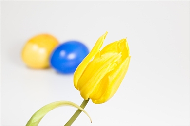 蜜桃传媒直接进入：虚拟偶像竞速新纪元，双线养成驰骋星耀赛道-2