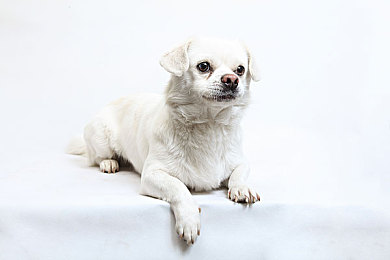 男人和女人差差差差：极速纪元新数据揭示，不同性别玩家驾驶风格迥异-4