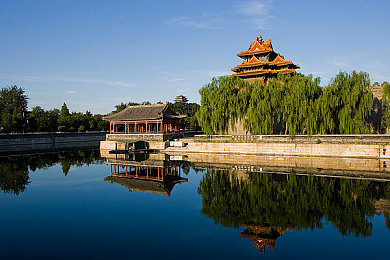 男生女生叉叉软件：竞速社交新纪元，虚拟世界中的速度与情感交织-3