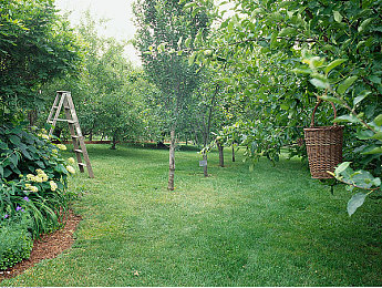 成人看片国产：国产游戏叙事革新，电影级视觉体验引领深度娱乐风潮-2