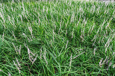 火辣辣福利引导导航：霓虹飞驰，未来赛道上的隐秘宝藏与极速传说