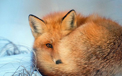 美女和男人上床软件：虚拟竞速与情感博弈，赛博时代的极速社交新体验-4