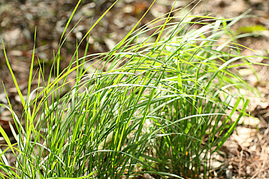 网站男女：极速社区，赛车手与改装达人的虚拟家园-2