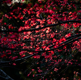 张津瑜未处理A片：极速赛道，镜头内外，驾驶失误与舆论风暴的双重竞逐-3