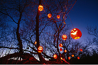 男生插曲女生app：竞速与情感交织，全新双线游戏今日上线，挑战你的多任务处理极限-5