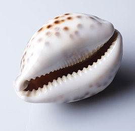 小明看看成人永久免费:《极速狂飙:无限赛道》今日上线,真实物理引擎打造永久免费竞速盛宴-2