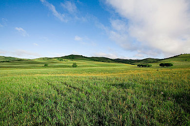 黄色软件3.0.3免费vivo：极速改装王隐藏车辆全解锁，高级零件免费获取攻略大公开-2