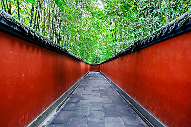 红猫大本：萌系赛车新作引爆热潮，硬核改装与趣味玩法深度解析