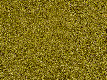 少妇与公豬交XXXX：荒野求生，原始部落与生态挑战的生存博弈-5