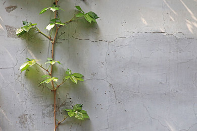 少妇体验催情按摩：心灵驿站与速度机器的双重奏鸣曲-2