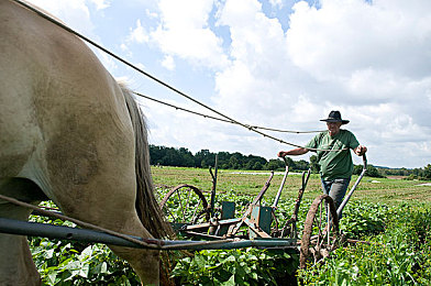 打扑克很疼的软件：卡牌策略与硬核驾驶碰撞，今日揭秘风驰电掣中的疼痛博弈-3