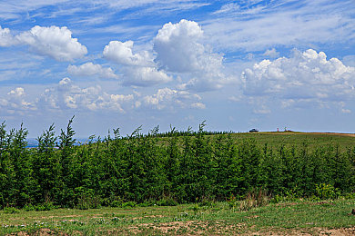 中国少妇ⅩⅩXXX：霓影双面人生引爆竞速新作，深度改装与叙事革新今日揭晓-4