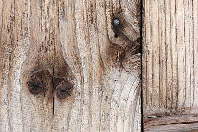 东京热AP:霓虹街头极速狂飙,深度改装系统引爆竞速新热潮-4