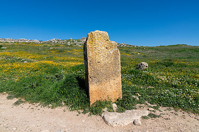 男同性恋调教：极速调校师赛道传奇上线，深度改装与搭档协作开启竞速新篇章-5