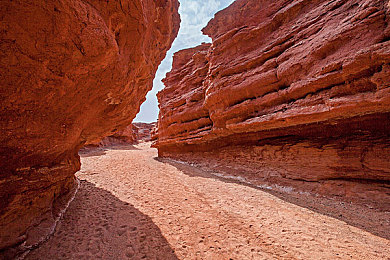 脱了老师裙子猛烈进入：极速学园谜影，夜幕赛道狂飙之谜-2