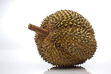 黄色oppo免费3.0.3：疾驰暮雨，车队协战改装新纪元-3