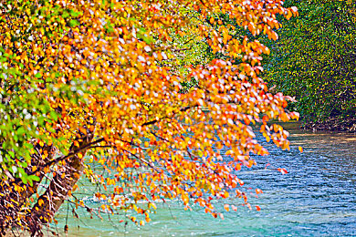 晚上打扑克又疼又叫：硬核竞速新作今日上线，拟真损伤与夜赛挑战引爆玩家热议