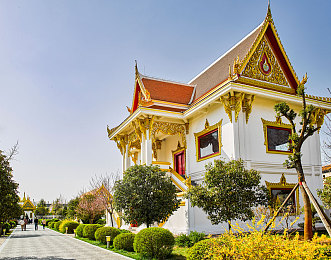 美女脱光了的视频软件：虚拟现实赛车新作发布，幻影编辑器颠覆车辆自定义体验-4