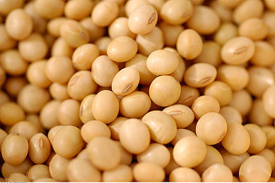 一男一女拔萝卜：田园竞速双人协奏，满载欢笑的丰收拉力之旅-2