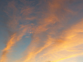 XAXMANTAUZUNHAYA背景与理念：赛博都市狂飙，以速度意志冲破企业控制牢笼-4