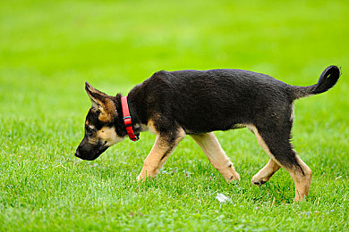 女生和男生在床上一起软件：双人同行重塑情感纽带，合作冒险治愈心灵之旅