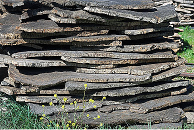 欧美五月：墨西哥狂野之旅，速度与文化的交响诗篇-4