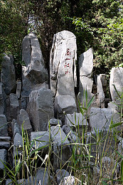 色中色APP：驾驭色彩极速，挑战视觉反应新境界-3