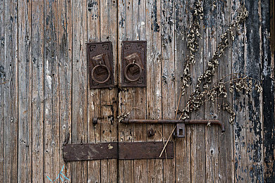 亚洲一区中文：极限竞速地平线推出东方赛道，中文玩家专属调校与赛事揭秘-4