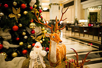 机机和机机手机免费下载版大全：极速狂飙，免费畅享赛道与钢铁的移动盛宴-4