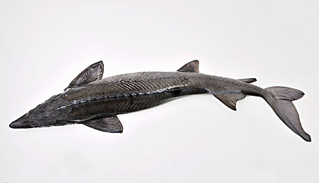 小鸡巴软件：像素狂飙，硬核调校的艺术-3