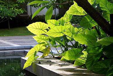 麻豆Av剧情：引擎轰鸣交织角色命运，沉浸式叙事赛车游戏新浪潮-2