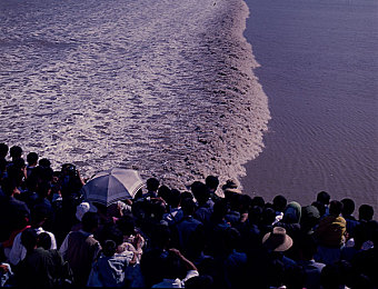 狼人升级页面紧急升级：极速改装新策略，黑夜竞逐智者为王-5