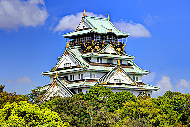 殴美男同性恋：荣耀交锋羁绊之拳，硬核格斗与深度羁绊的都市冒险-2