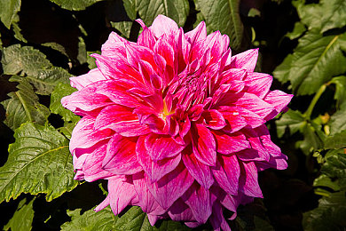 国产综合AV：九州极速，驰骋中华地貌的开放世界竞速之旅-2