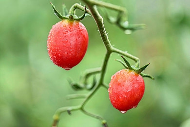 男生和女生深夜软件：《极光幻夜：双生引擎》今日上线，竞速与情感交织的夜赛新体验