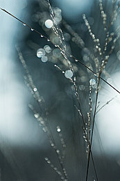 18 视频   免费：在墨西哥的画卷上，以极速挥洒你的光影诗篇