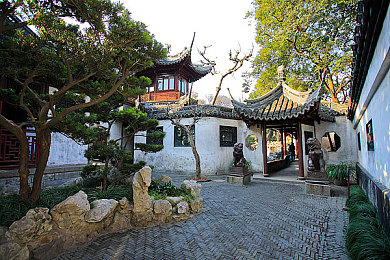 就色干综合：《极限竞速地平线5》新攻略，色彩环境竟能预判路况与天气-3