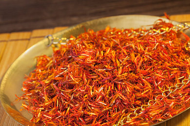 男人挺进雌性宠物交m：驾驭机械兽，解锁人车合一的终极竞速艺术-5