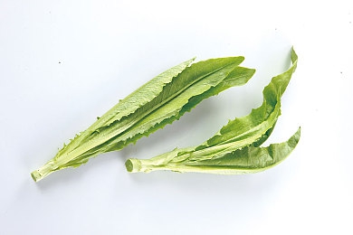 AV伦理：自动驾驶道德困境，你的算法如何抉择未来-2