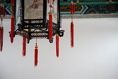 罗宾为乔巴排出毒素：疾驰于污浊，携手净化的竞速羁绊-4