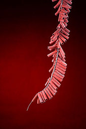 小小拗女BBwBBwBBE：叛逆少女引擎轰鸣，独立游戏融合竞速与成长新体验-2