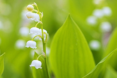 打扑克又疼又叫的视频软件：极速狂飙与策略卡牌的交响，赛道上的智勇对决-3