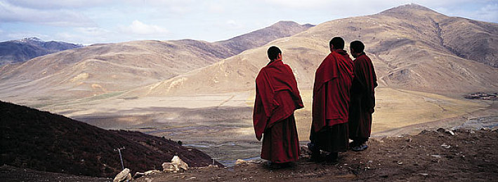 麻豆91麻豆国产传媒的特点：国产赛车新作《极速都市》上线，本土化赛道与创新玩法引爆玩家热情-3