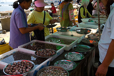 尤物喷水：当钢铁猛兽撕裂雨幕，与流体共舞的极限竞速-2