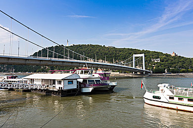 成人影视Av：极速工程，赛道上的精密机械艺术-1